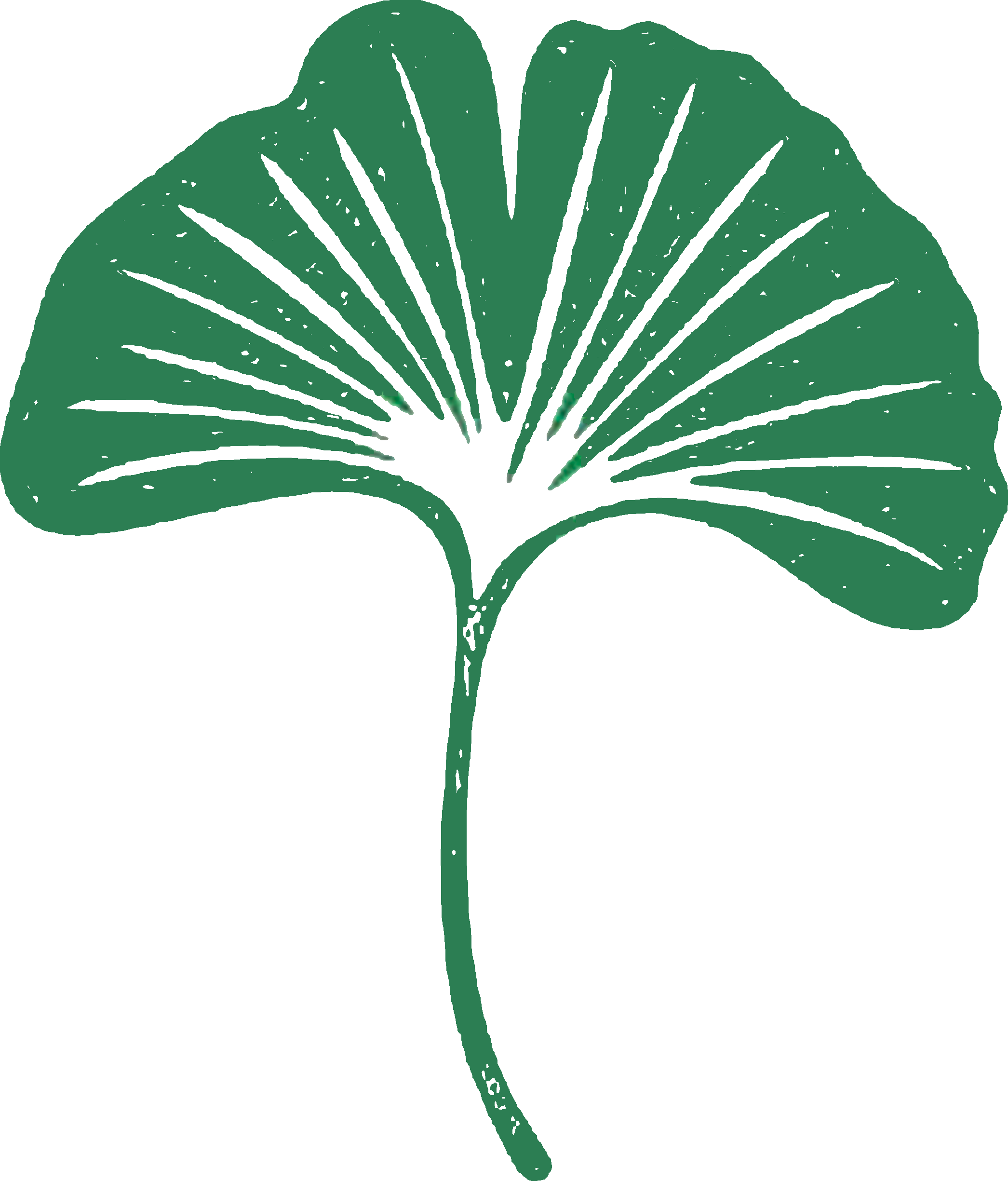 Gingko decoration
