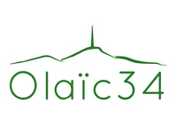 logo Olaic
